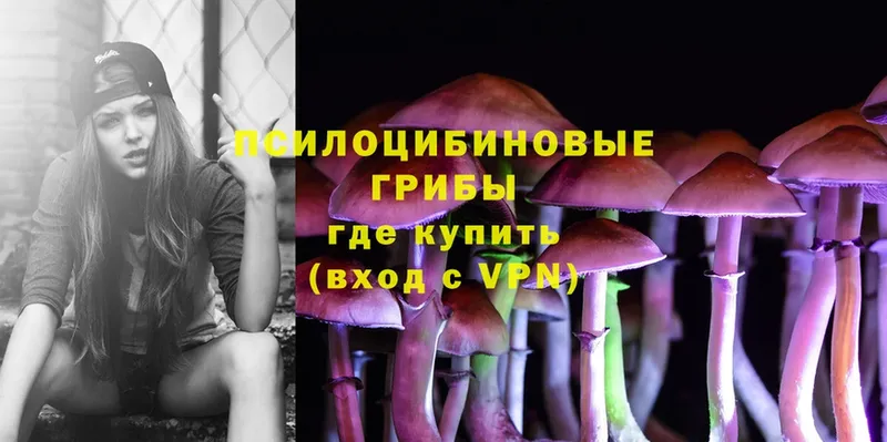 Псилоцибиновые грибы Magic Shrooms  Тосно 